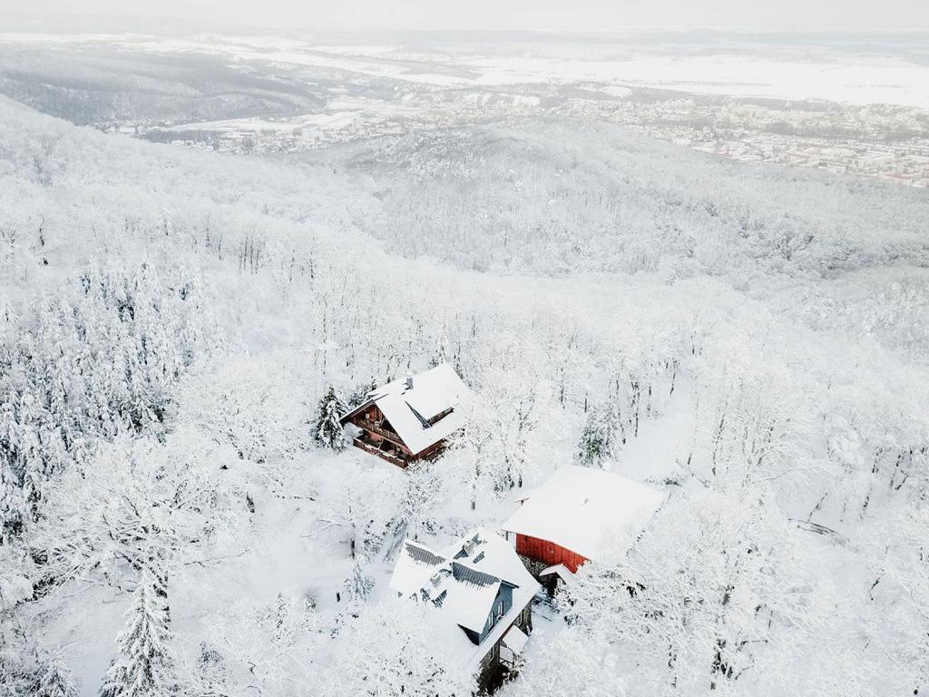 Naturtraum Georgshoehe Thale Exterior foto