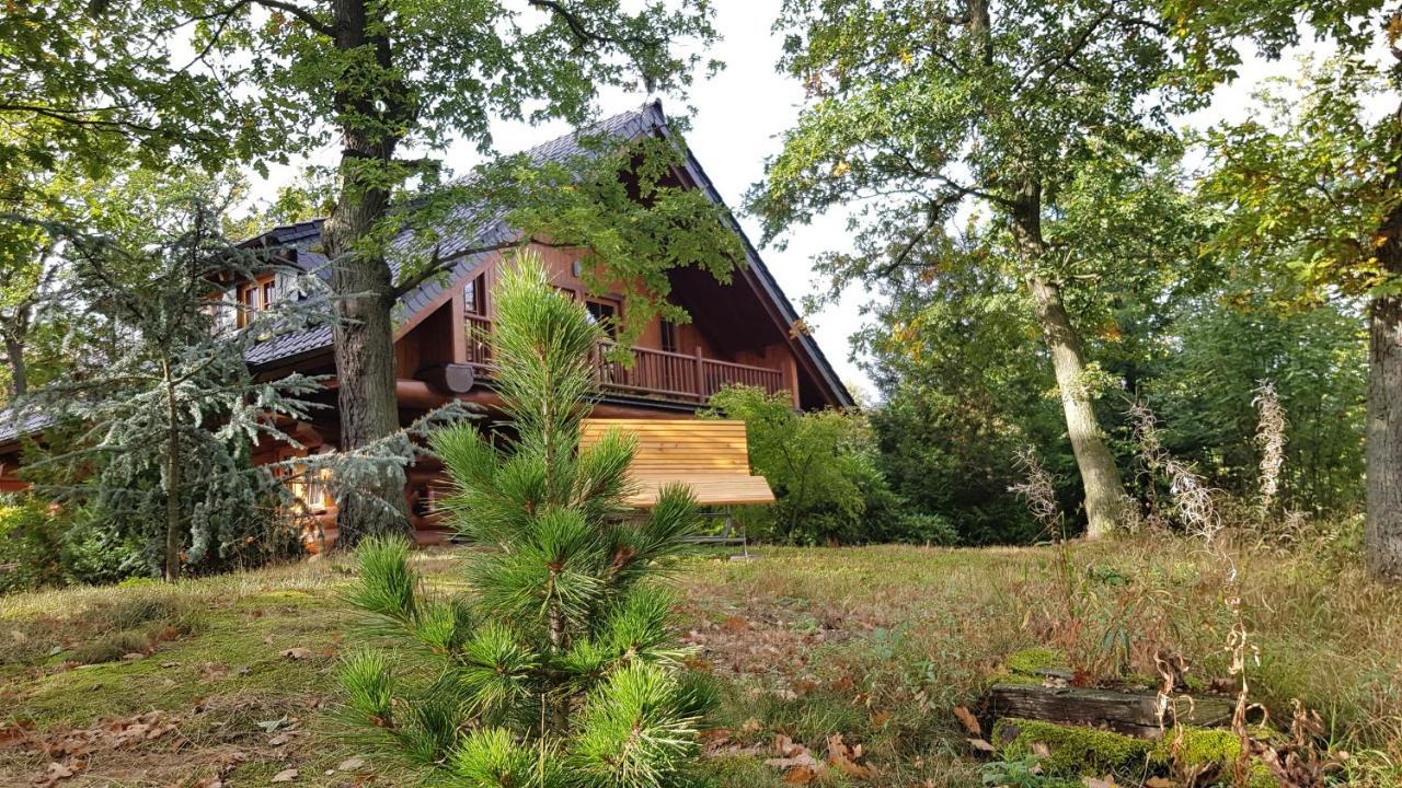 Naturtraum Georgshoehe Thale Exterior foto